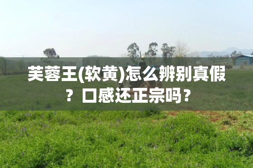 芙蓉王(软黄)怎么辨别真假？口感还正宗吗？